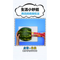 生活小妙招3004
