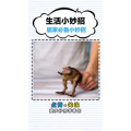 生活小妙招3017