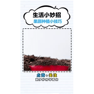 生活小妙招3102
