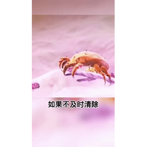 生活小妙招3121