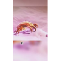 生活小妙招3127