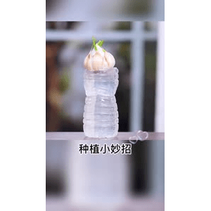 生活小妙招3142