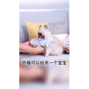生活小妙招3151