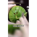 生活小妙招3168
