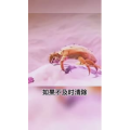 生活小妙招3184