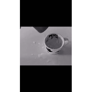 生活小妙招3195