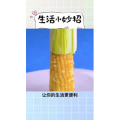 生活小妙招3249