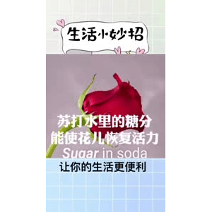 生活小妙招3266