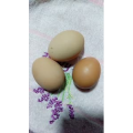 生活小妙招3313