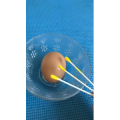 生活小妙招3348