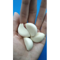 生活小妙招3355