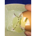 生活小妙招3393