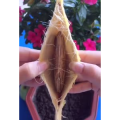 生活小妙招3430