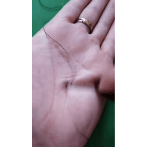 生活小妙招3469