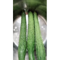 生活小妙招3486