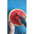 生活小妙招3488