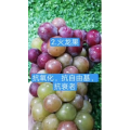 生活小妙招3555