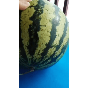 生活小妙招3567