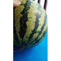 生活小妙招3567