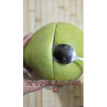 生活小妙招3577