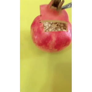 生活小妙招3579