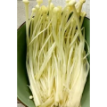 生活小妙招3594
