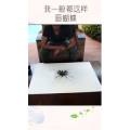 生活小妙招3708