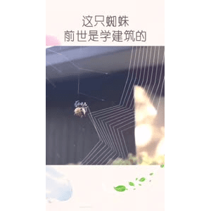 生活小妙招3713