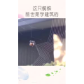 生活小妙招3713