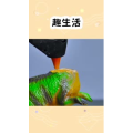 生活小妙招3768