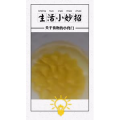生活小妙招3985
