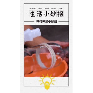 生活小妙招4051