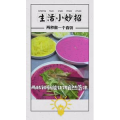 生活小妙招4075