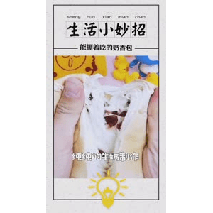 生活小妙招4082