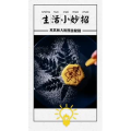 生活小妙招4099
