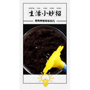 生活小妙招4104