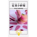 生活小妙招4135