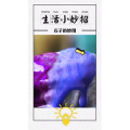 生活小妙招4141