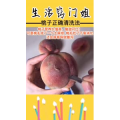 生活小妙招4315