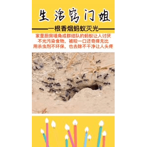 生活小妙招4324