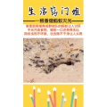 生活小妙招4324