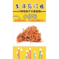 生活小妙招4356