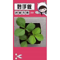 生活小妙招4409
