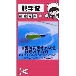 生活小妙招4443