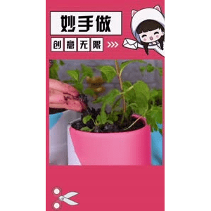生活小妙招4451