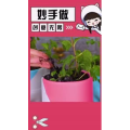 生活小妙招4451