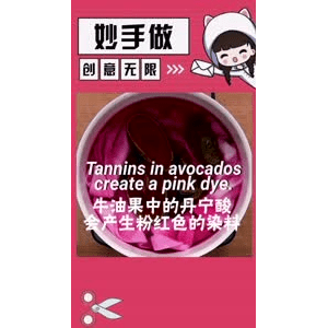 生活小妙招4470