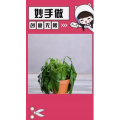 生活小妙招4496