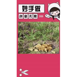 生活小妙招4518