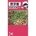 生活小妙招4518